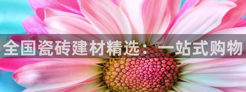 杏鑫平台代理怎么做的