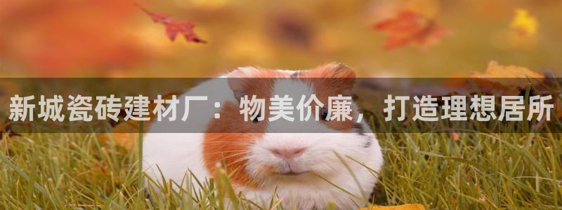 杏鑫官网注册账号怎么注册