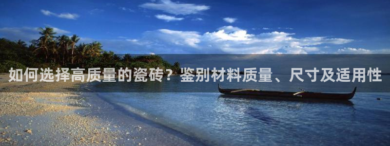 杏鑫注册登录代理公司