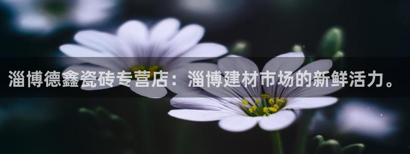 杏鑫注册登录平台