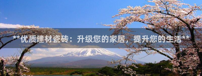 杏鑫平台在线注册