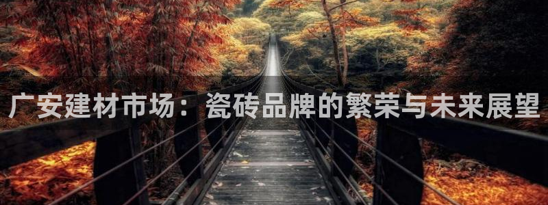 杏鑫平台代理怎么做的