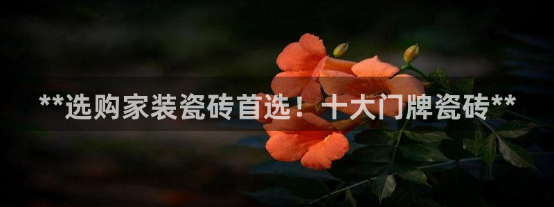 杏鑫注册登录地址