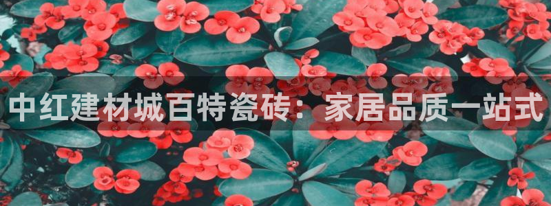 杏鑫平台招商电话