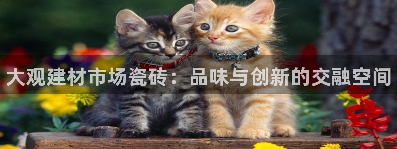 杏鑫娱乐怎么下